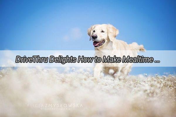 DriveThru Delights How to Make Mealtime for Your Pup a Roadside Adventure